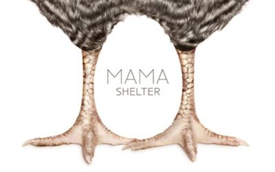 Partenaire de l’hôtel Mama Shelter !